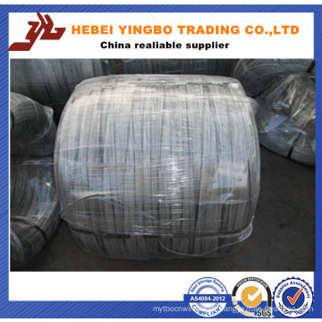 Bwg 12 14 16 18 Hot Dipped / Electric Galvanized Iron Wire Made in China (real factory)